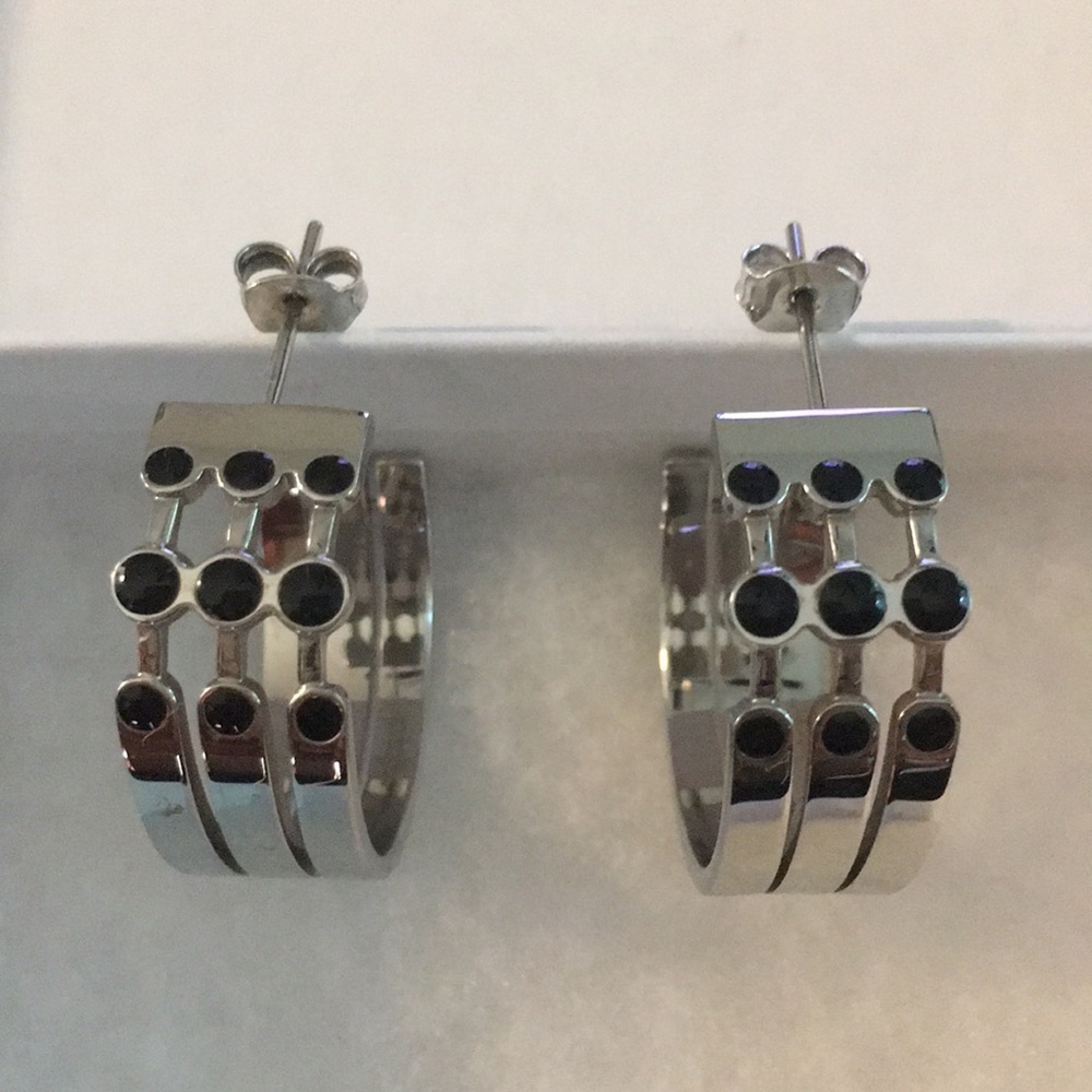 NWOT Swatch Hoop Earrings